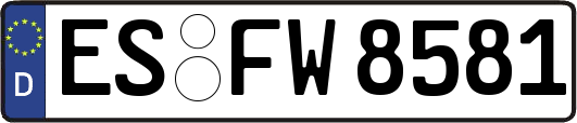 ES-FW8581