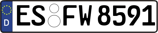 ES-FW8591