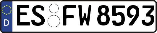 ES-FW8593