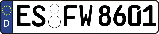 ES-FW8601