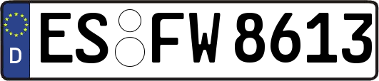 ES-FW8613