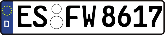 ES-FW8617