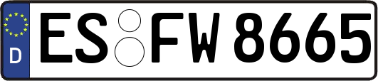 ES-FW8665