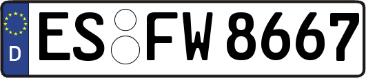 ES-FW8667