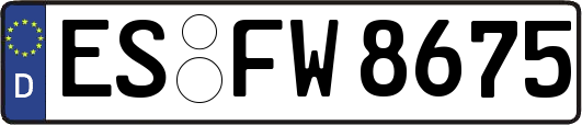 ES-FW8675