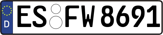 ES-FW8691