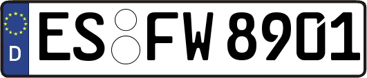 ES-FW8901