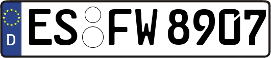 ES-FW8907