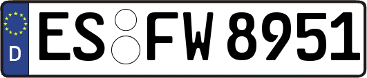 ES-FW8951