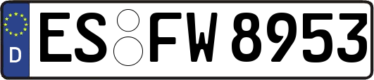 ES-FW8953