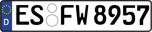 ES-FW8957