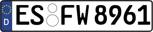 ES-FW8961