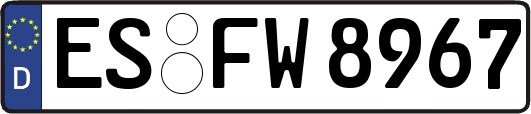 ES-FW8967