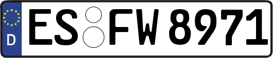 ES-FW8971