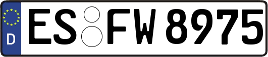 ES-FW8975