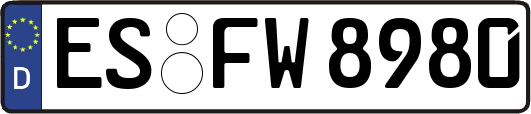 ES-FW8980