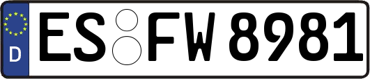 ES-FW8981