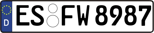ES-FW8987