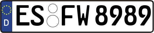 ES-FW8989