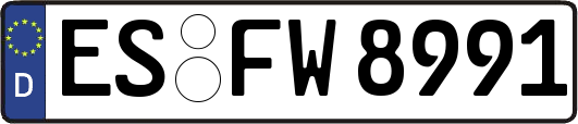 ES-FW8991