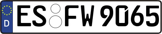ES-FW9065