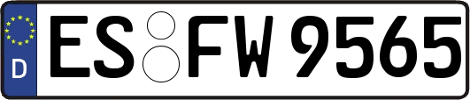 ES-FW9565