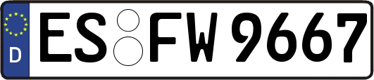 ES-FW9667