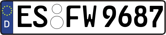 ES-FW9687