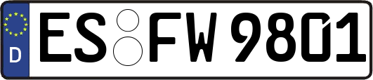 ES-FW9801
