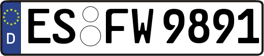 ES-FW9891