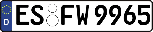 ES-FW9965