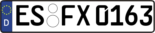 ES-FX0163
