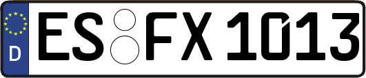 ES-FX1013