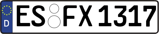 ES-FX1317