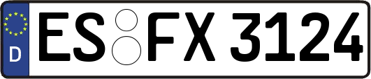 ES-FX3124