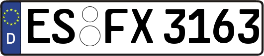 ES-FX3163