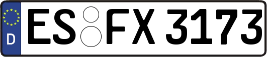 ES-FX3173