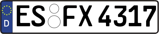 ES-FX4317