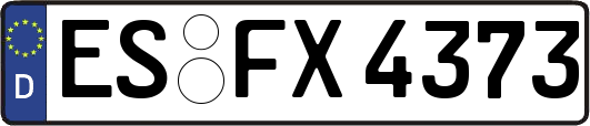 ES-FX4373