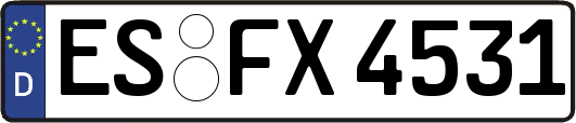 ES-FX4531