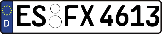 ES-FX4613