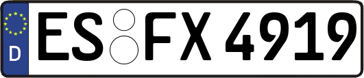 ES-FX4919