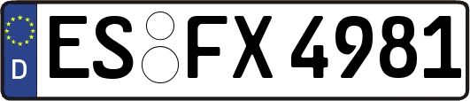 ES-FX4981