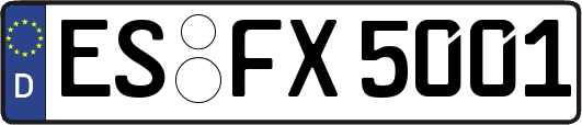 ES-FX5001