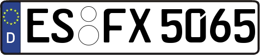 ES-FX5065