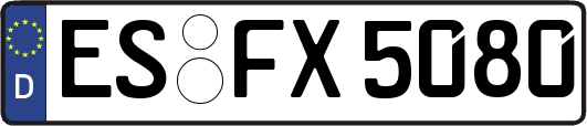 ES-FX5080