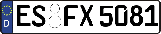 ES-FX5081