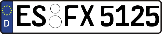 ES-FX5125