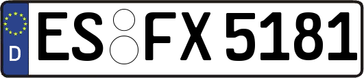 ES-FX5181