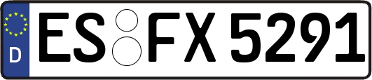 ES-FX5291